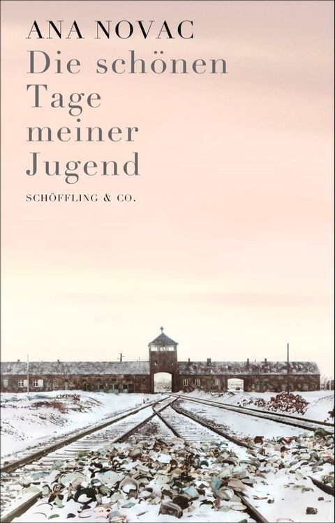 Die schönen Tage meiner Jugend(Kobo/電子書)