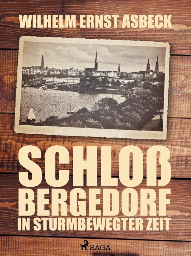  Schloss Bergedorf in sturmbewegter Zeit(Kobo/電子書)