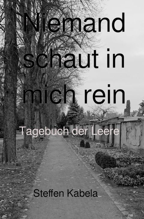 Niemand schaut in mich rein(Kobo/電子書)