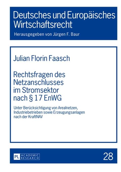 Rechtsfragen des Netzanschlusses im Stromsektor nach § 17 EnWG(Kobo/電子書)