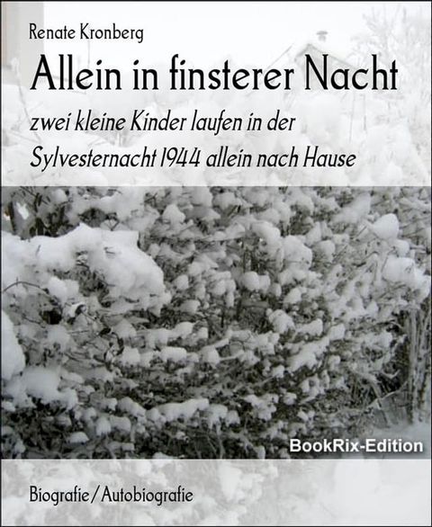 Allein in finsterer Nacht(Kobo/電子書)