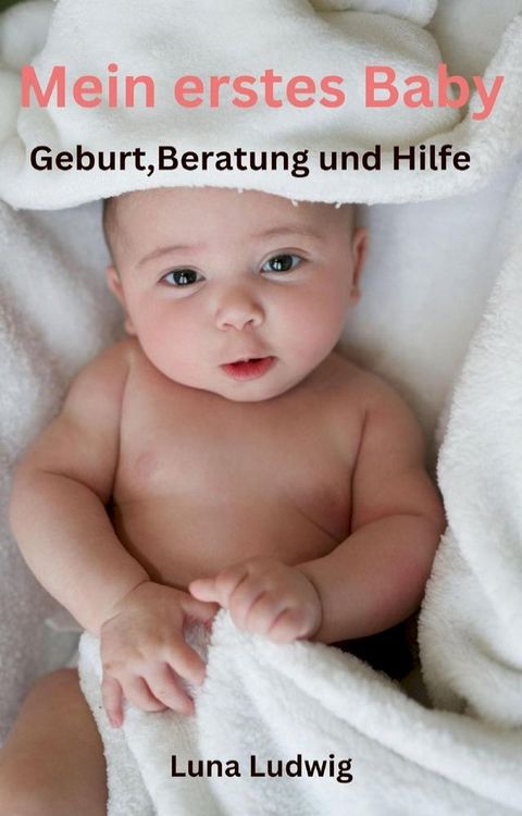 Mein erstes Baby, Geburt, Beratung und Hilfe(Kobo/電子書)