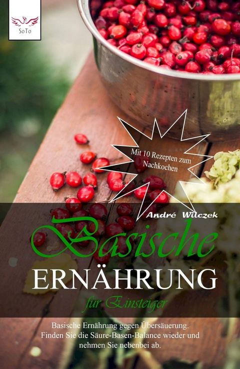 Basische Ern&auml;hrung f&uuml;r Einsteiger(Kobo/電子書)