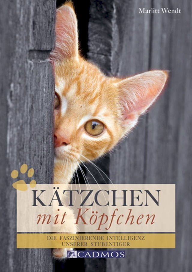  Kätzchen mit Köpfchen(Kobo/電子書)