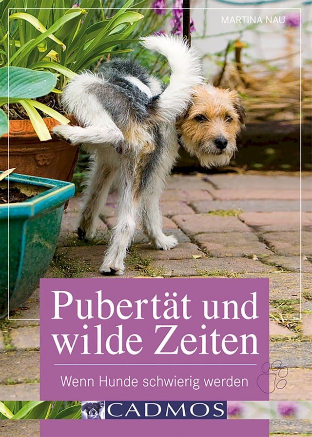  Pubert&auml;t und wilde Zeiten(Kobo/電子書)