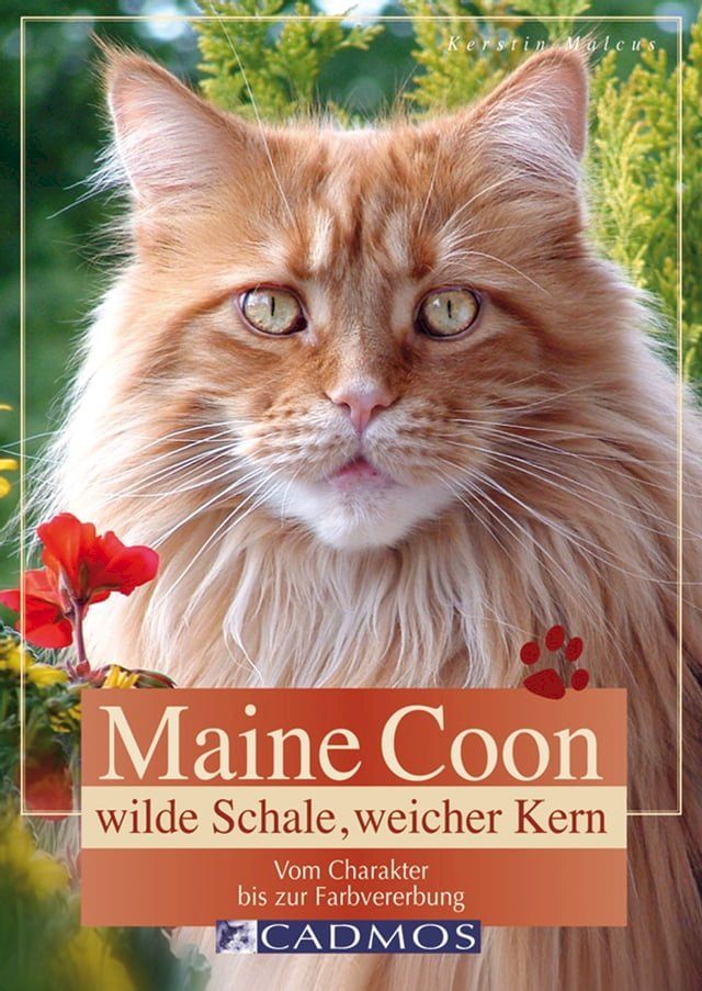  Maine Coon - Wilde Schale weicher Kern(Kobo/電子書)