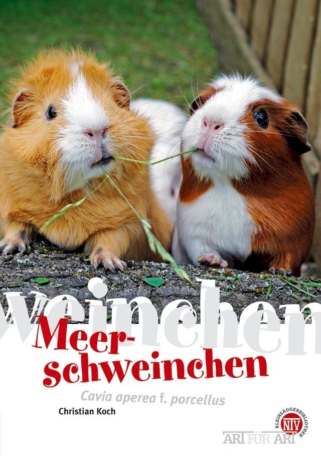  Meerschweinchen(Kobo/電子書)