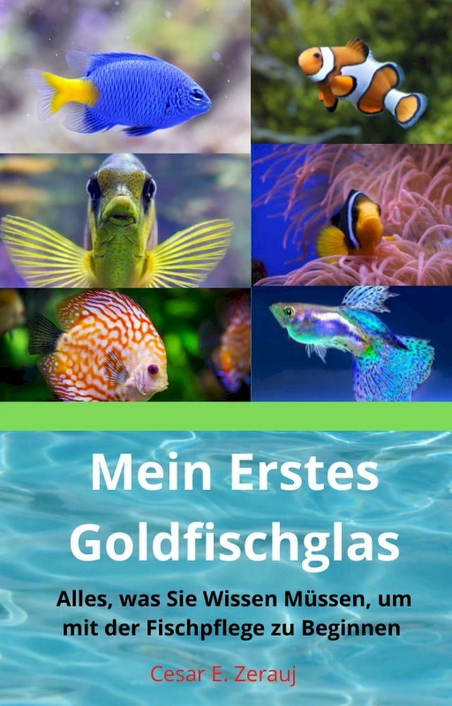  Mein Erstes Goldfischglas Alles, was Sie Wissen M&uuml;ssen, um mit der Fischpflege zu Beginnen(Kobo/電子書)