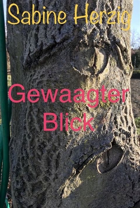 Gewaagter Blick(Kobo/電子書)