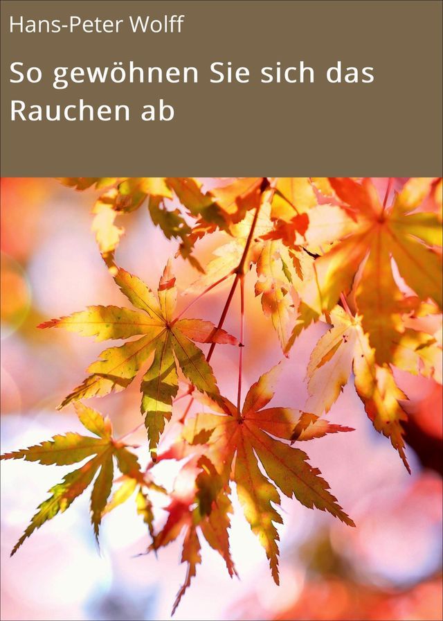  So gew&ouml;hnen Sie sich das Rauchen ab(Kobo/電子書)