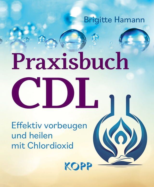  Praxisbuch CDL(Kobo/電子書)