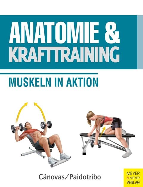 Anatomie & Krafttraining(Kobo/電子書)