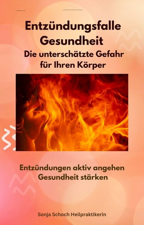 Entz&uuml;ndungsfalle Gesundheit - Die untersch&auml;tzte Gefahr f&uuml;r Ihren K&ouml;rper(Kobo/電子書)