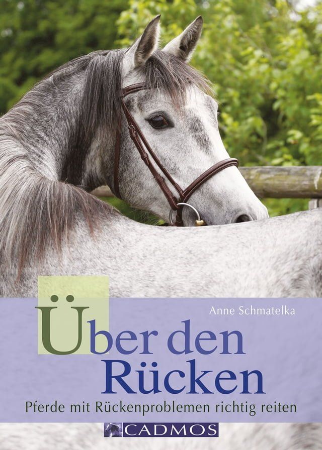  &Uuml;ber den R&uuml;cken(Kobo/電子書)