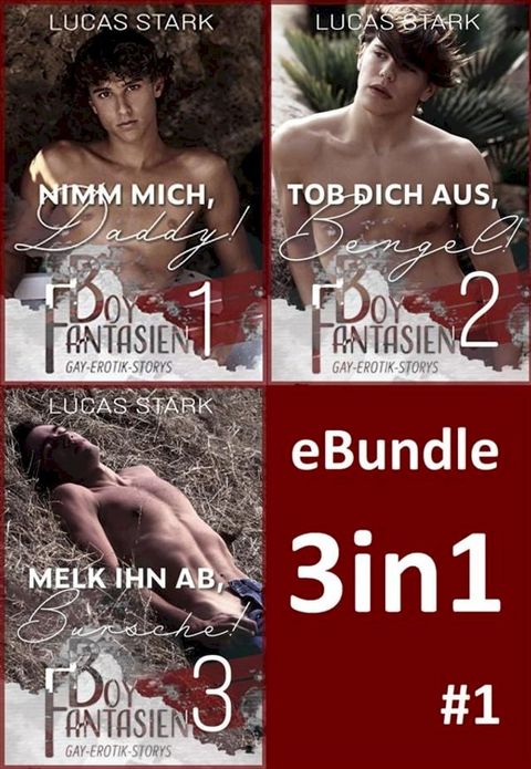 Boy Fantasien 1-3 eBundle(Kobo/電子書)