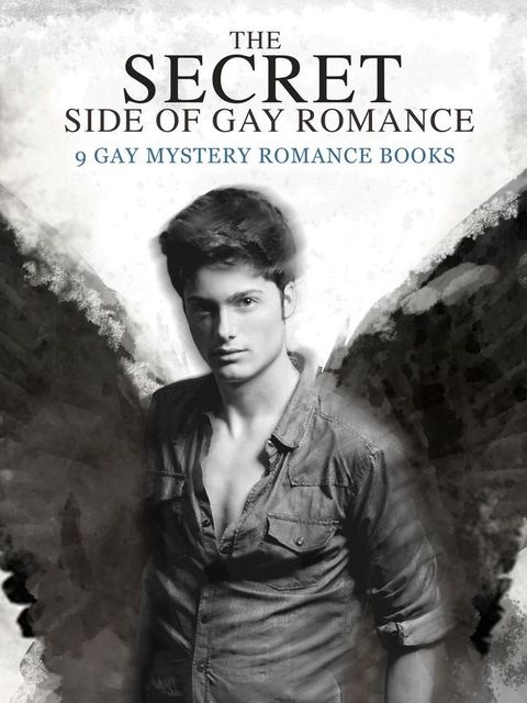 The Secret Side of Gay Romance: 9 Gay Mystery Romance eBooks in einem Band!(Kobo/電子書)