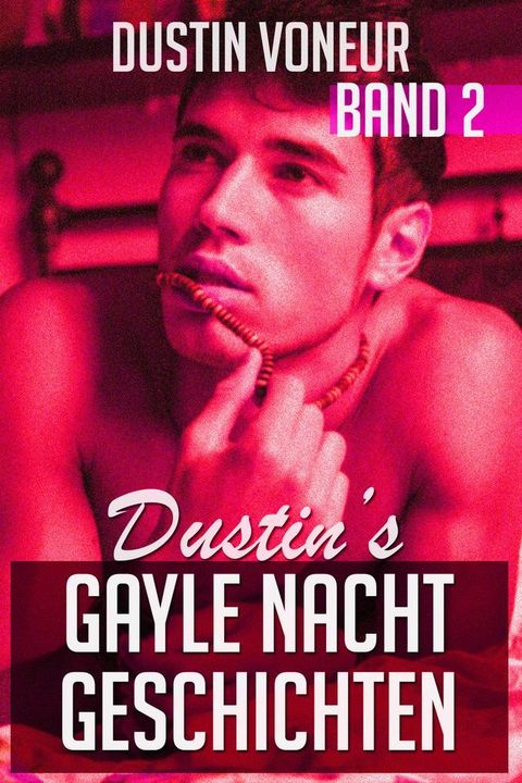 Dustin's Gayle Nacht Geschichten: Band 2(Kobo/電子書)