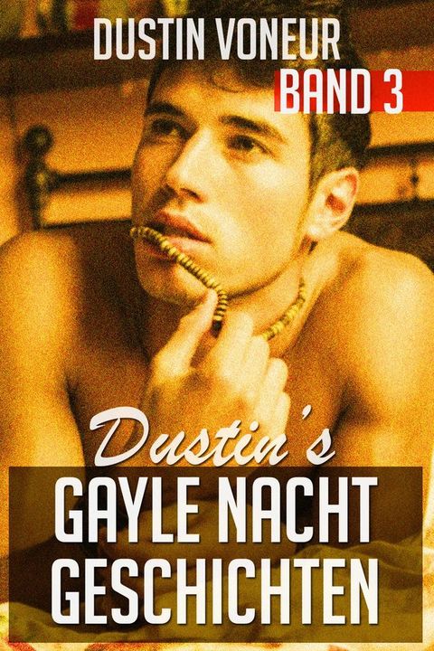 Dustin's Gayle Nacht Geschichten: Band 3(Kobo/電子書)