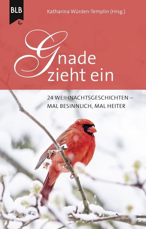 Gnade zieht ein(Kobo/電子書)