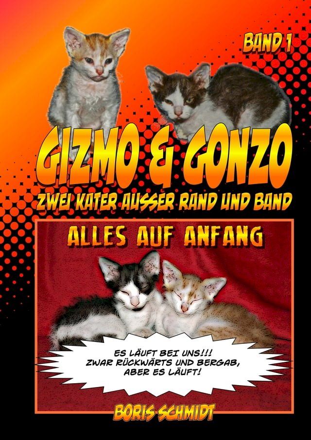  GIZMO & GONZO - Zwei Kater au&szlig;er Rand und Band(Kobo/電子書)