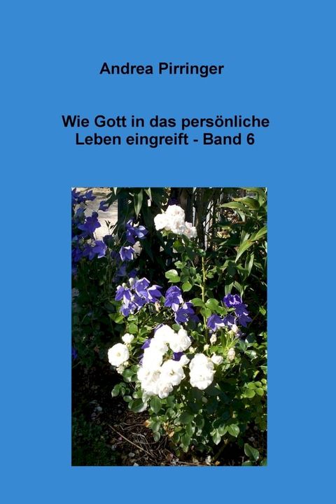 Wie Gott in das pers&ouml;nliche Leben eingreift - Band 6(Kobo/電子書)