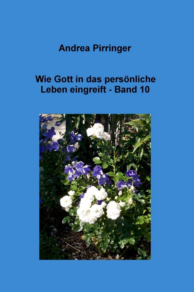  Wie Gott in das pers&ouml;nliche Leben eingreift - Band 10(Kobo/電子書)