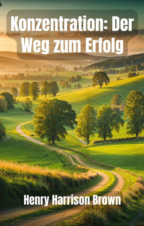 Konzentration: Der Weg zum Erfolg(Kobo/電子書)