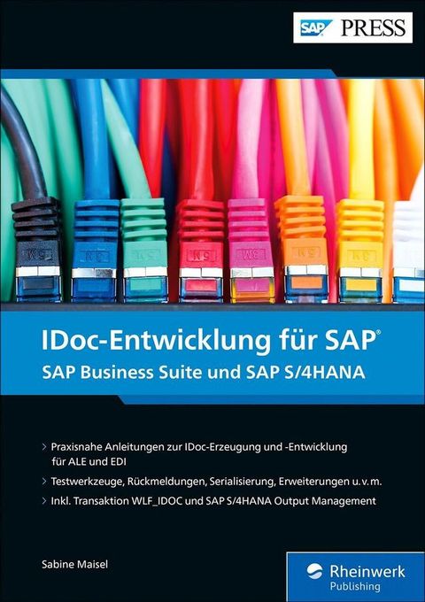 IDoc-Entwicklung f&uuml;r SAP(Kobo/電子書)