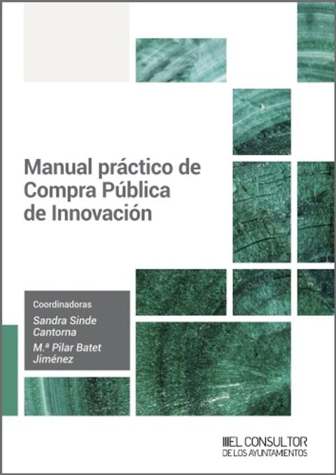 Manual práctico de Compra Pública de Innovación(Kobo/電子書)