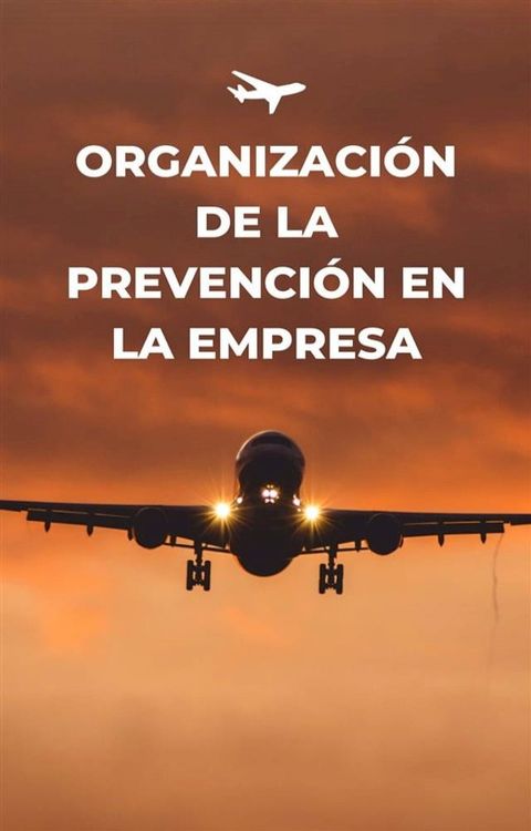 Organización de la prevención de la empresa(Kobo/電子書)