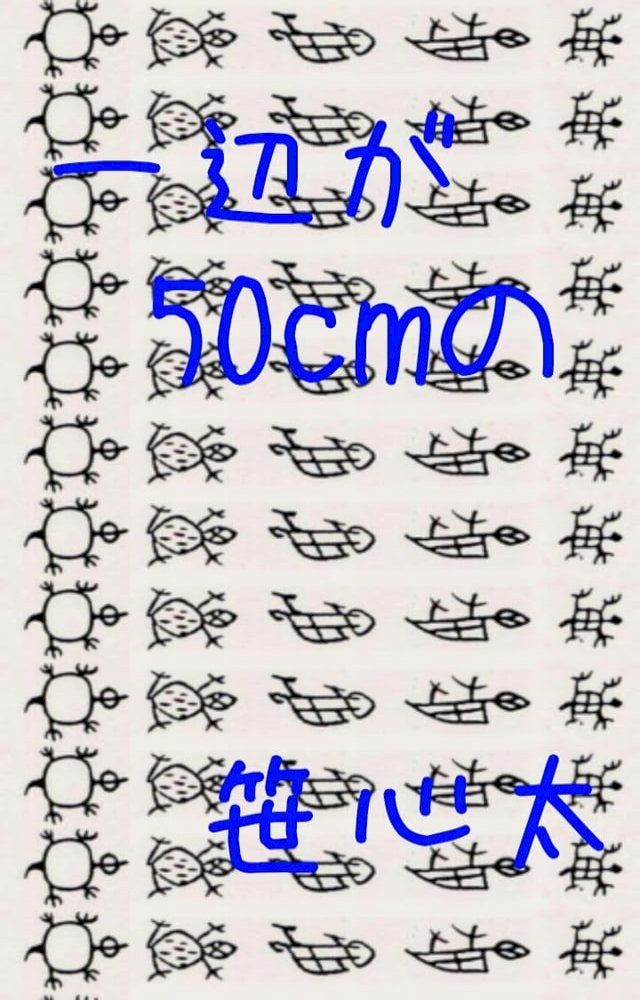  一辺が５０ｃｍの(Kobo/電子書)