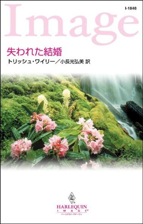 失われた結婚(Kobo/電子書)