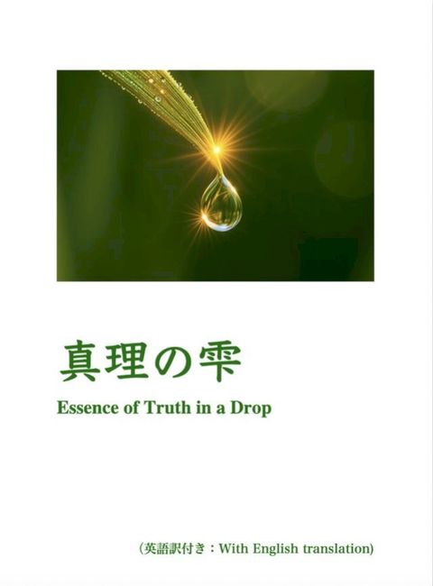 真理攴雫