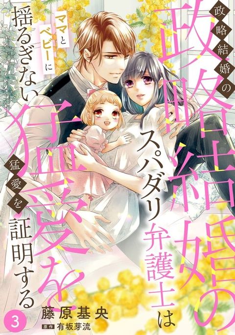 政略結婚のスパダリ弁護士はママとベビーに揺るぎない猛愛を証明する【分冊版】3話(Kobo/電子書)