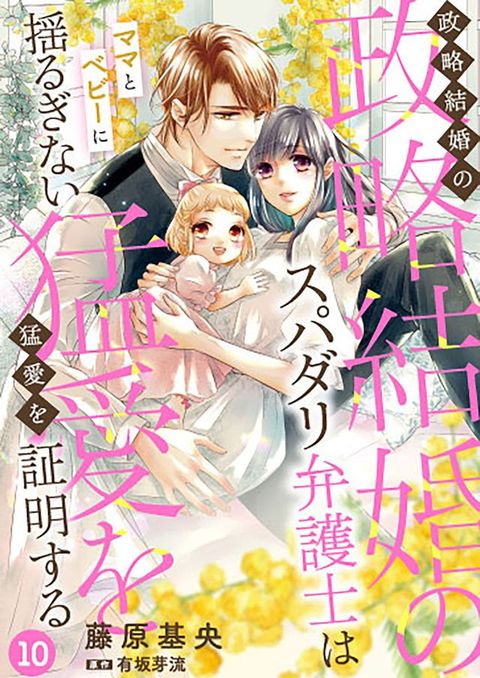 政略結婚のスパダリ弁護士はママとベビーに揺るぎない猛愛を証明する【分冊版】10話(Kobo/電子書)