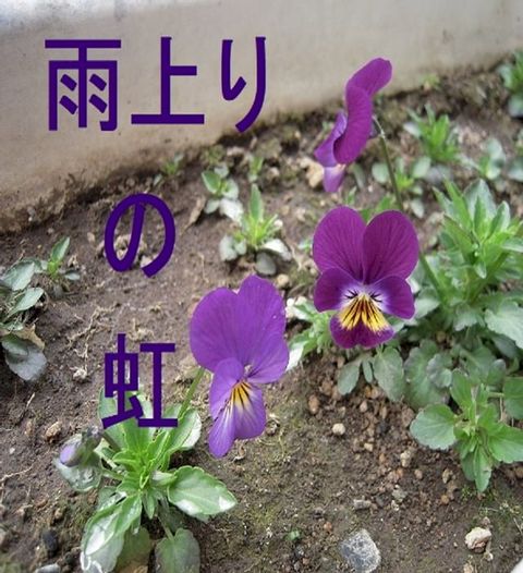 雨上りの虹(Kobo/電子書)