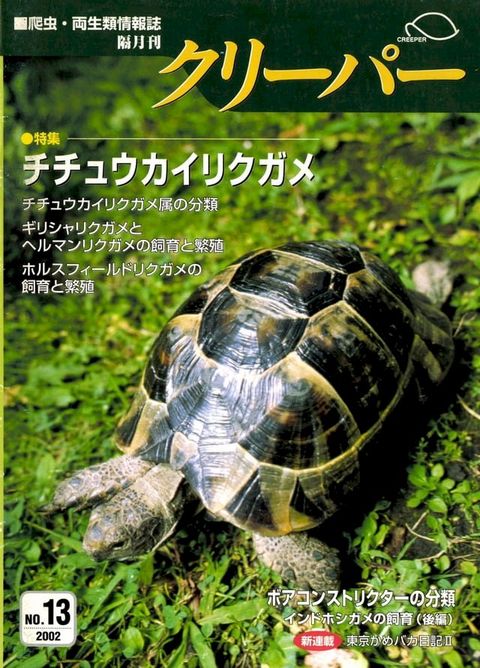 クリーパー13号(Kobo/電子書)