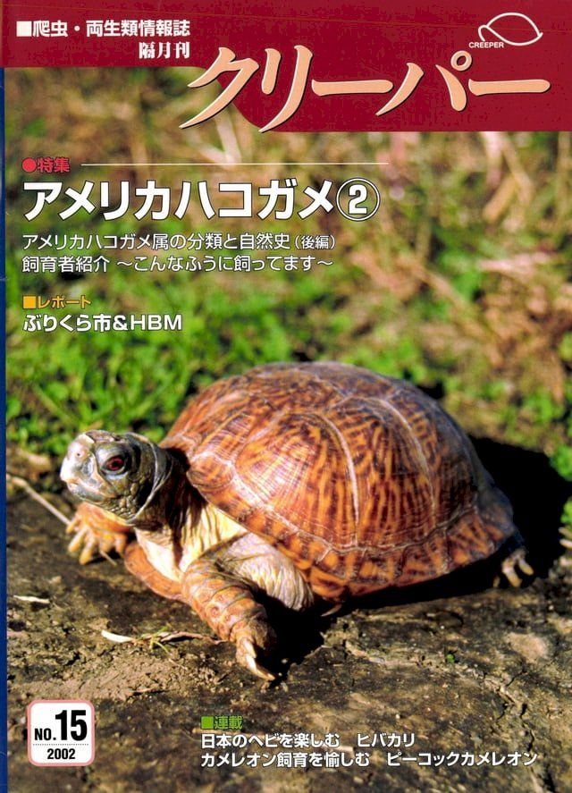  クリーパー15号(Kobo/電子書)