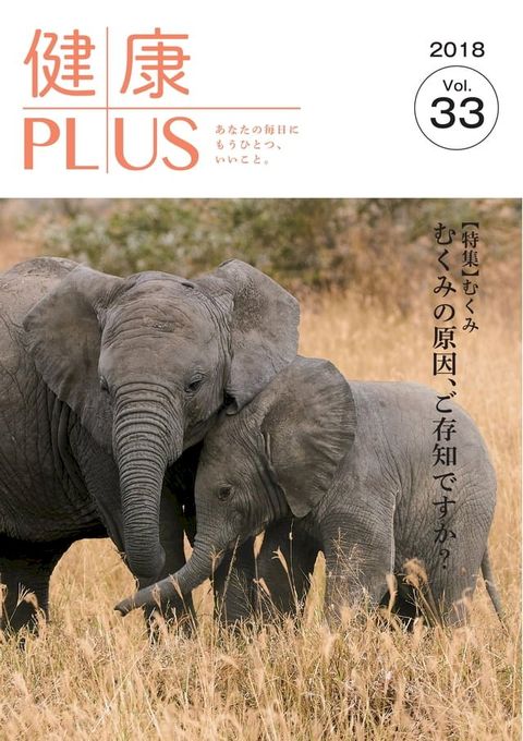 健康PLUS vol.33(Kobo/電子書)