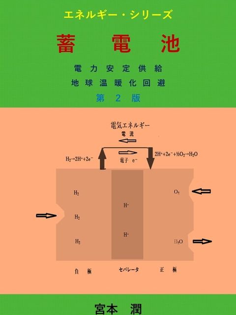 蓄電池　第２版(Kobo/電子書)