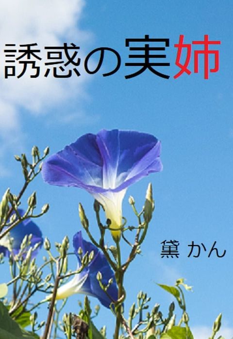 誘惑の実姉(Kobo/電子書)