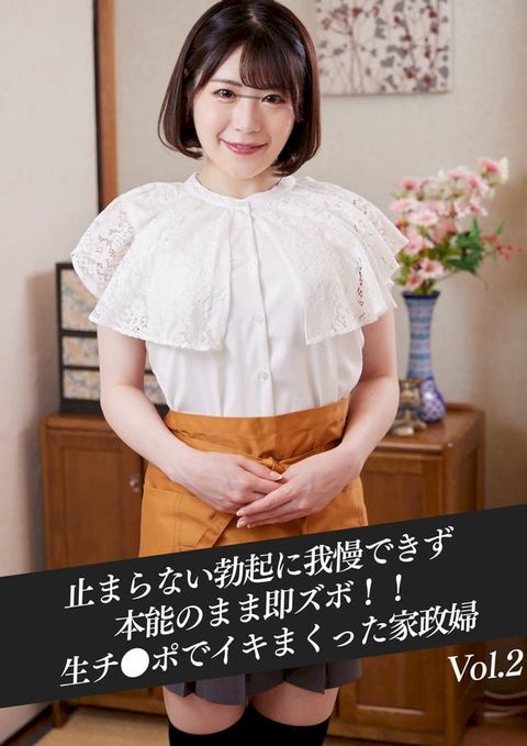 【JAV】止まらない勃起に我慢できず本能のまま即ズボ！！生チ●ポでイキまくった家政婦　Vol.02(Kobo/電子書)