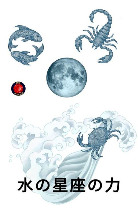 水攴星座攴力