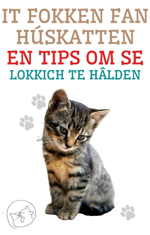 It fokken fan húskatten en tips om se lokkich te hâlden