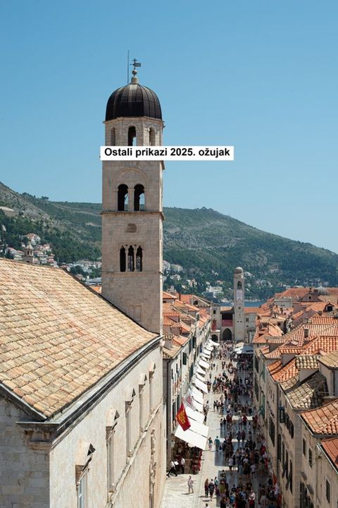 Ostali prikazi 2025. ožujak(Kobo/電子書)