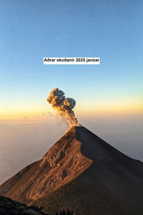 Aðrar skoðanir 2025 janúar
