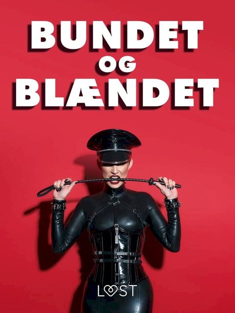 Bundet og blændet - erotiske noveller(Kobo/電子書)