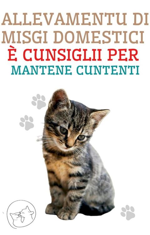 Allevamentu di misgi domestici è cunsiglii per mantene cuntenti