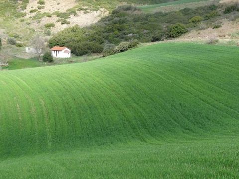 ΦΩΣ ΚΑΙ ΧΡΩΜΑ η θεραπευτική δύναμη του φωτό...