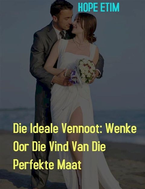 Die Ideale Vennoot: Wenke Oor Die Vind Van Die Perfekte Maat(Kobo/電子書)